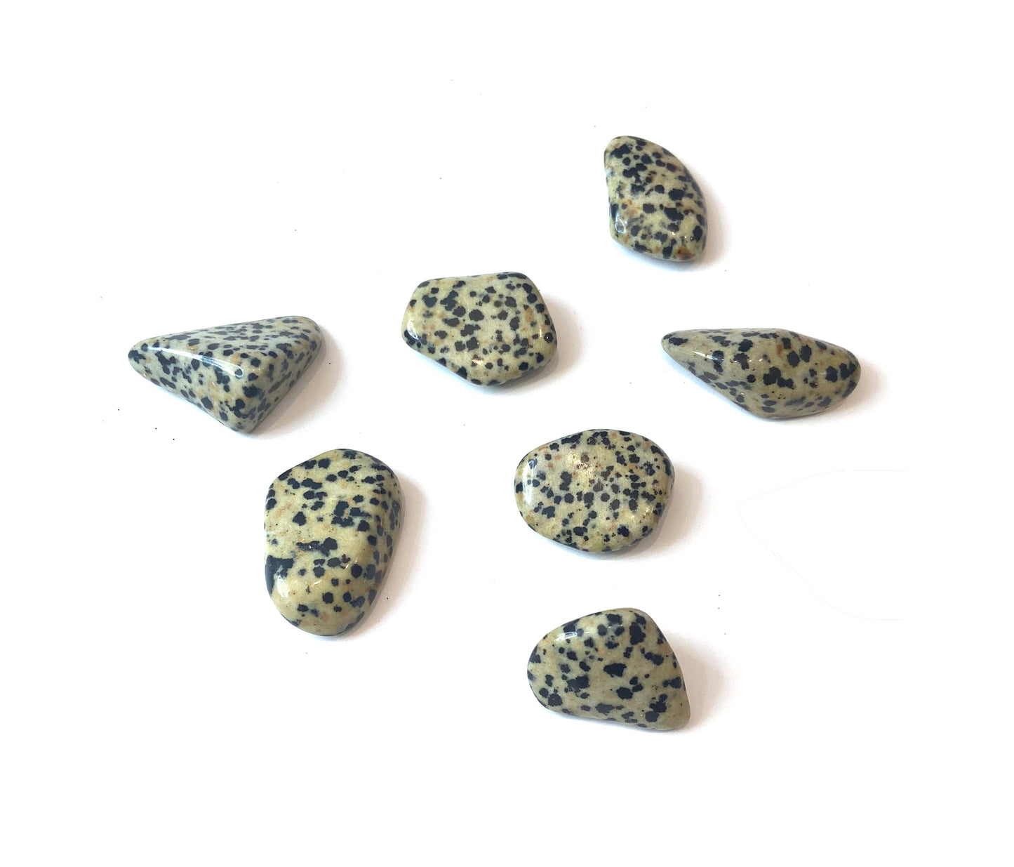 Dalmation Jasper Tumble